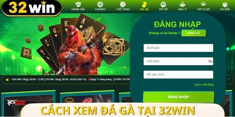 Cách để xem từng trận đá gà không tốn phí