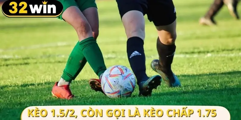 Giải thích kèo 1.5/2 dễ hiểu cho người mới