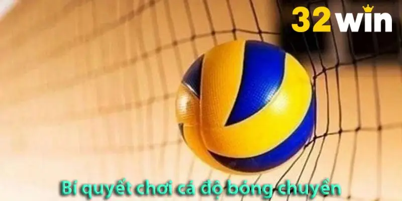 Các loại cược và bí quyết chơi cá độ bóng chuyền hiệu quả 2025