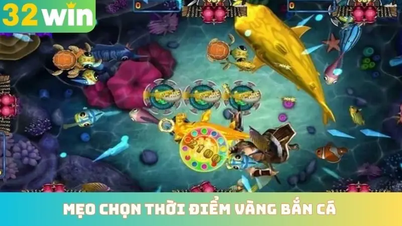 Mẹo Chọn Thời Điểm Vàng Bắn Cá